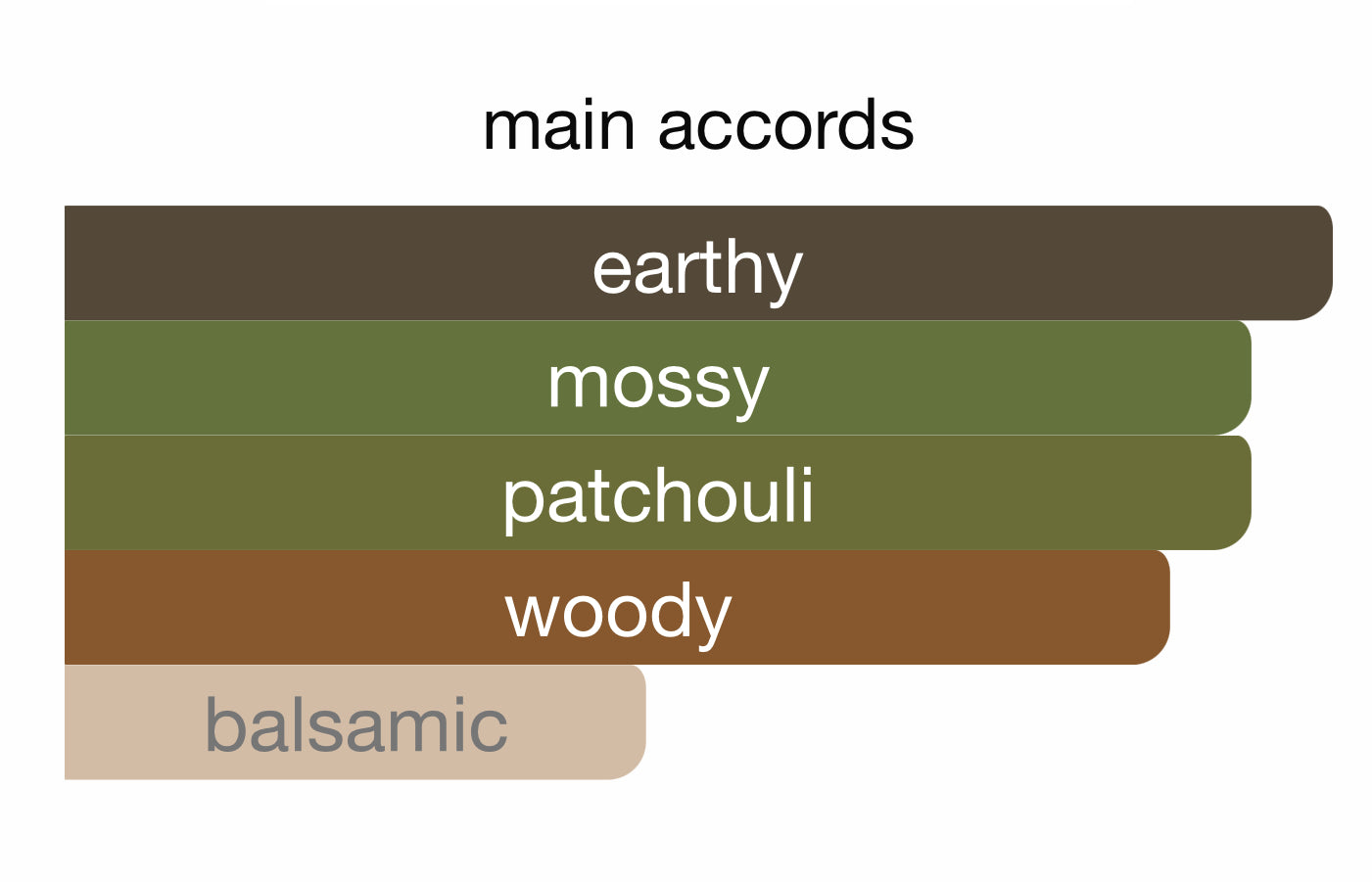 Amber Addiction Camara Eau de Parfum 3.4oz Made in UAE