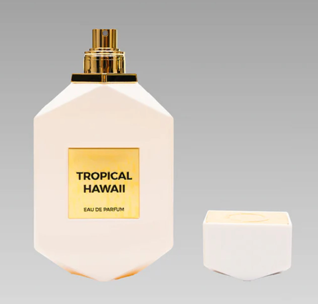 Tropical Hawai Camara Eau de Parfum 3.4oz Made in UAE