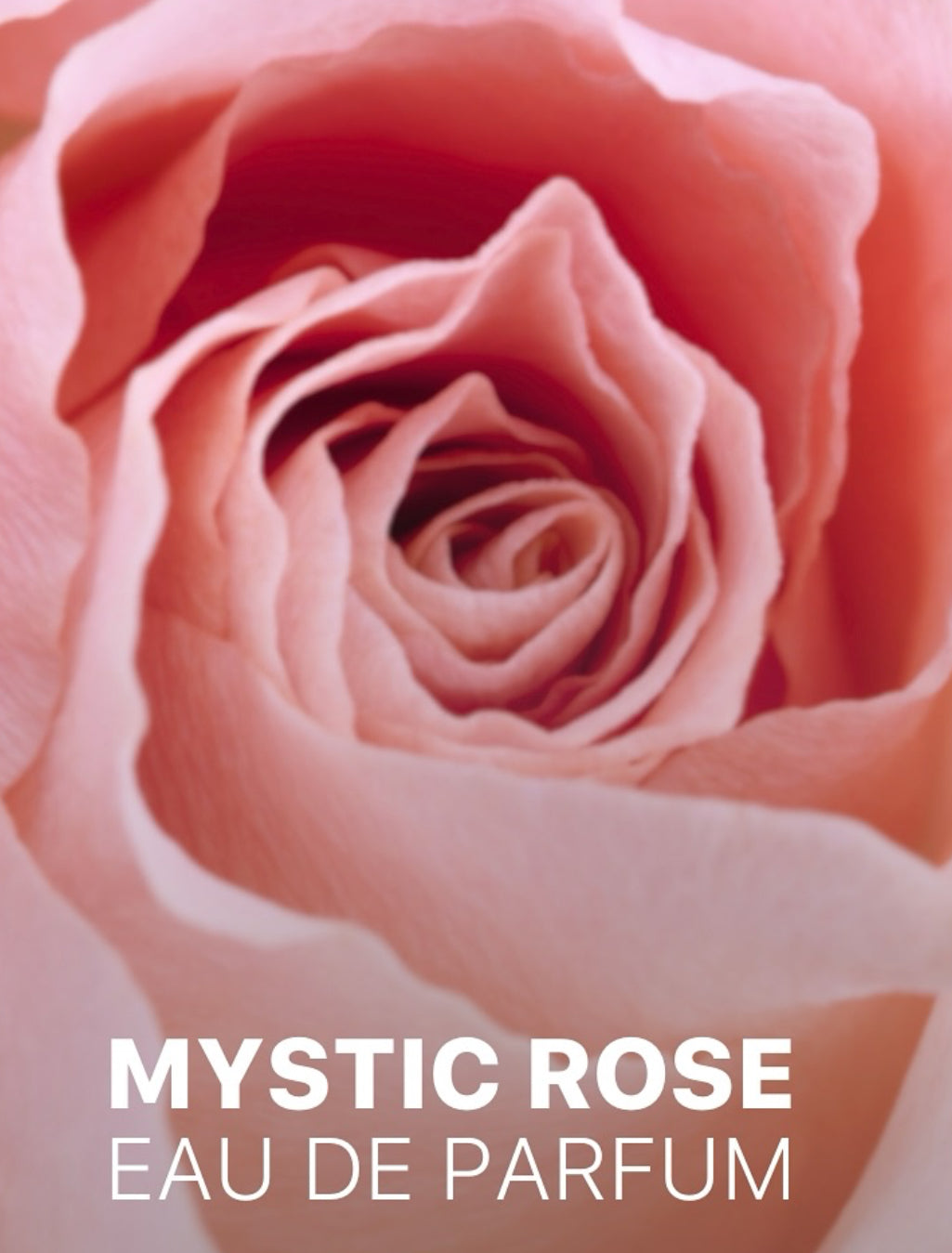 Mystic Rose Camara Eau de Parfum 3.4oz Made in UAE